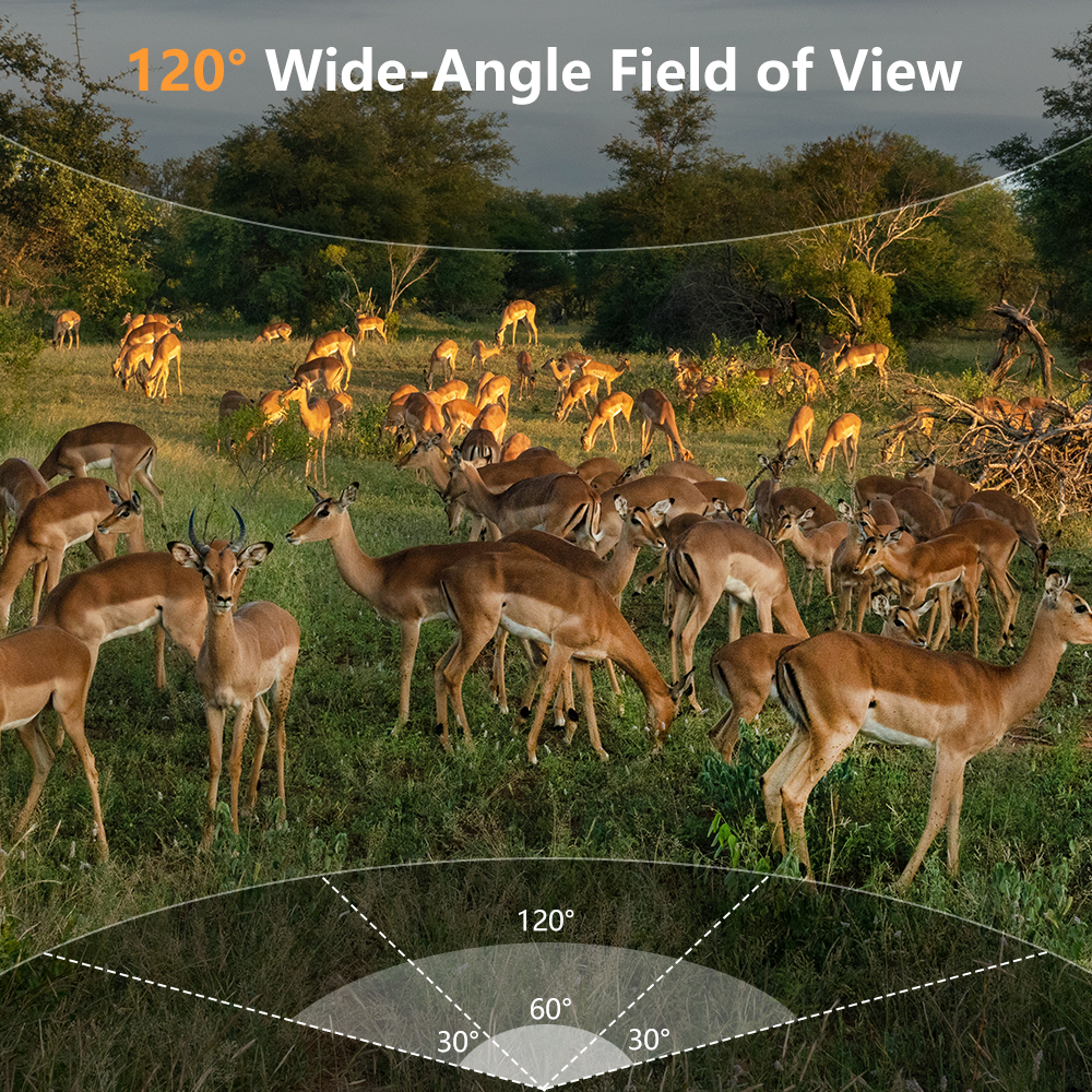 WiFi Trail Camera, 60MP Wildli - Outdoor Hunting Video Camera のレビューと価格