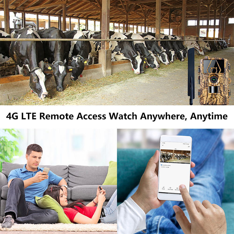 8K 60MP WiFi Trail Camera Wate - Outdoor Hunting Video Camera のレビューと価格