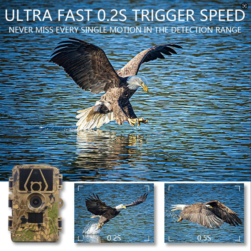 8K 60MP WiFi Trail Camera Wate - Outdoor Hunting Video Camera のレビューと価格