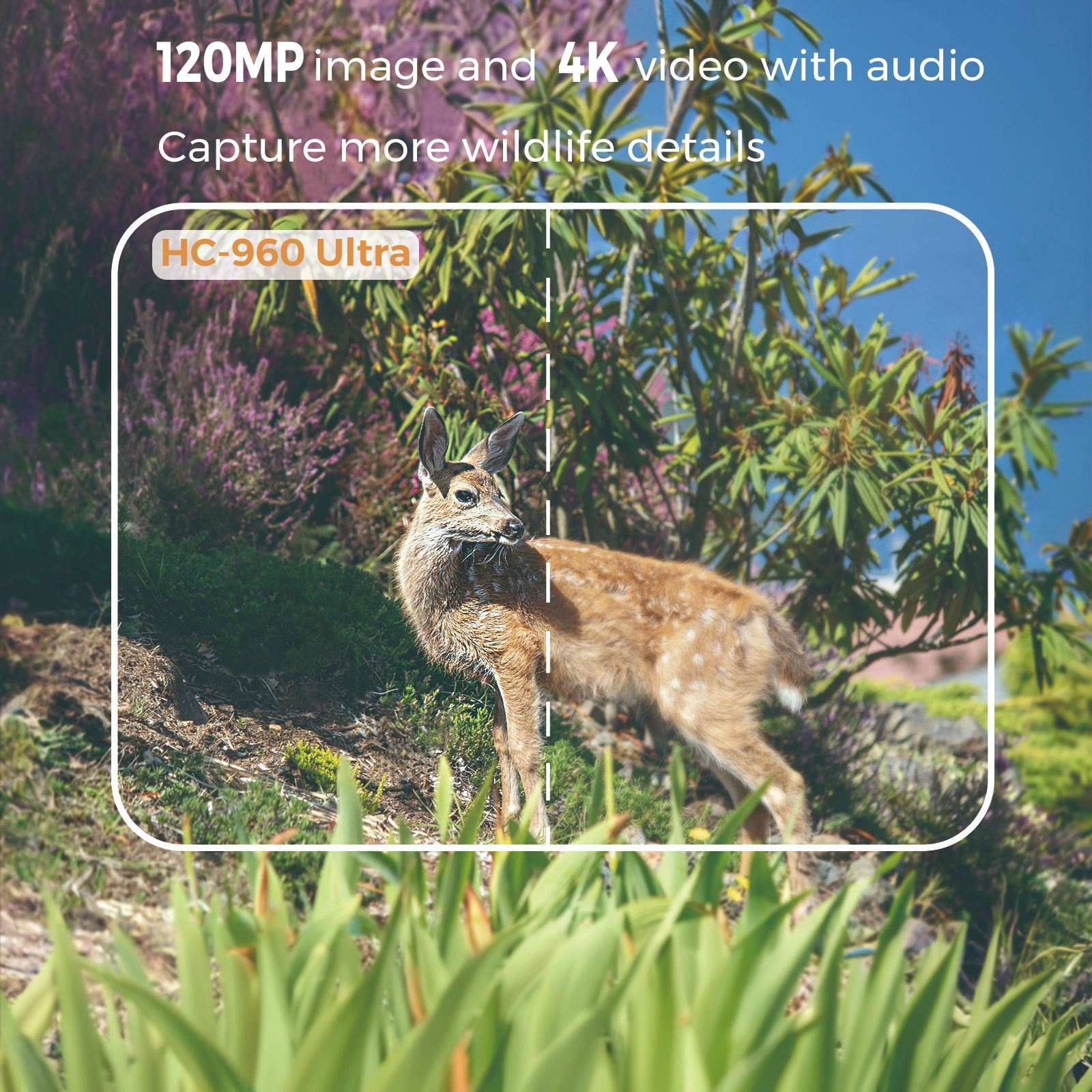 Outdoor 4K Video 120MP Photo 4 - Outdoor Hunting Video Camera のレビューと価格