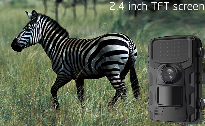 Outdoor Sports Hunting Cameras - Outdoor Hunting Video Camera のレビューと価格