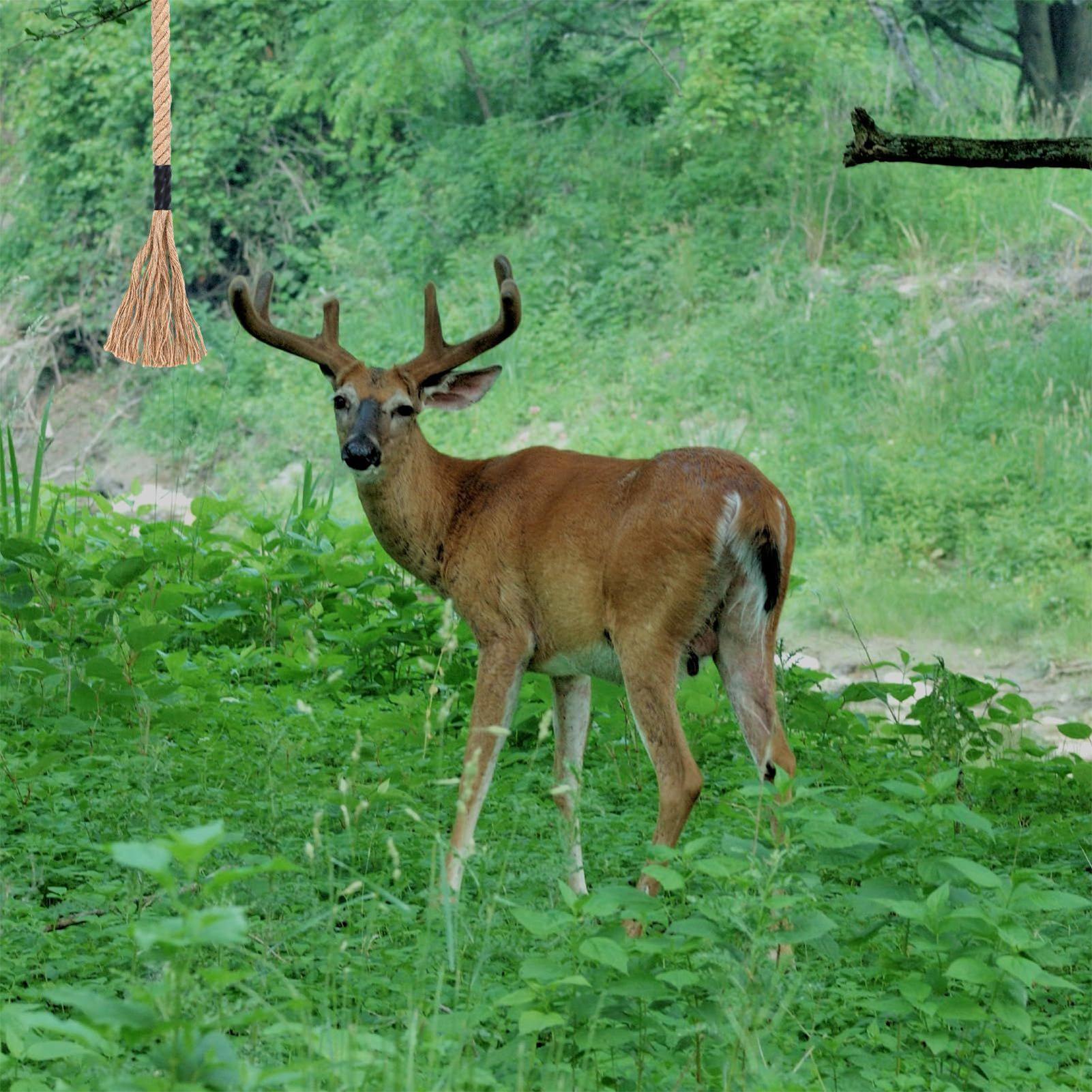 Deer Scrape Effective Long-Las - Deer Attractant Scent のレビューと価格