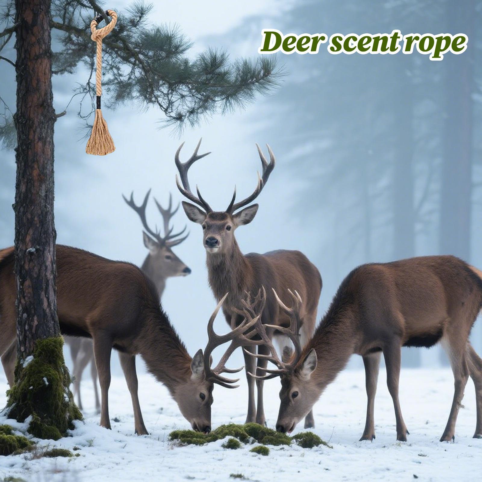 Deer Scrape Effective Long-Las - Deer Attractant Scent のレビューと価格