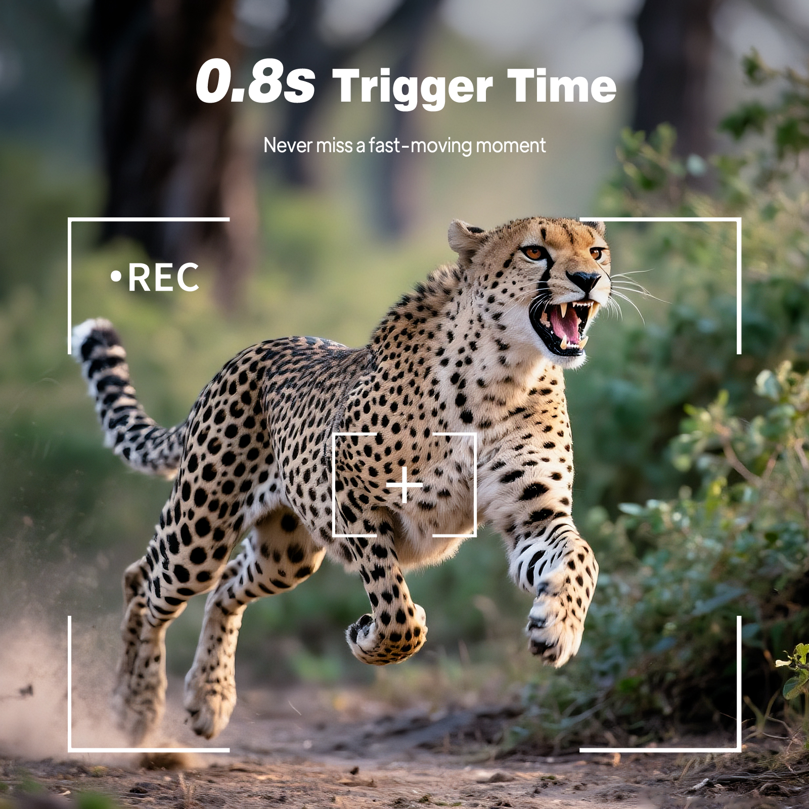 HD Infrared Hunting Camera 2.4 - Outdoor Hunting Video Camera のレビューと価格
