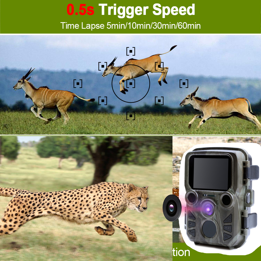 Mini Trail Game Camera Night V - Outdoor Hunting Video Camera のレビューと価格