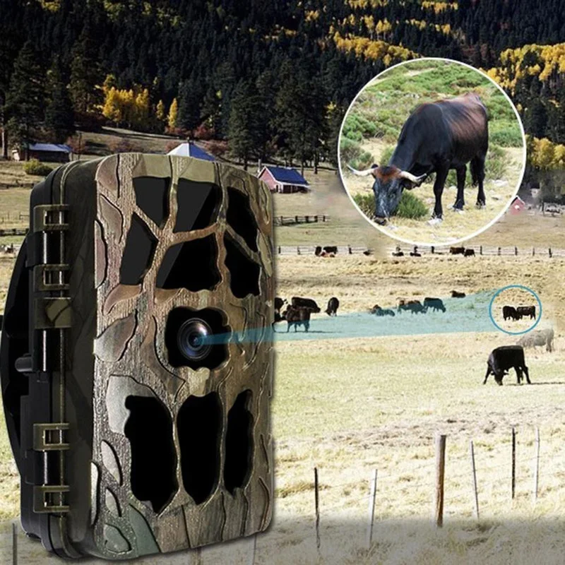 H982 IP66 Waterproof 4K Outdoo - Outdoor Hunting Video Camera のレビューと価格